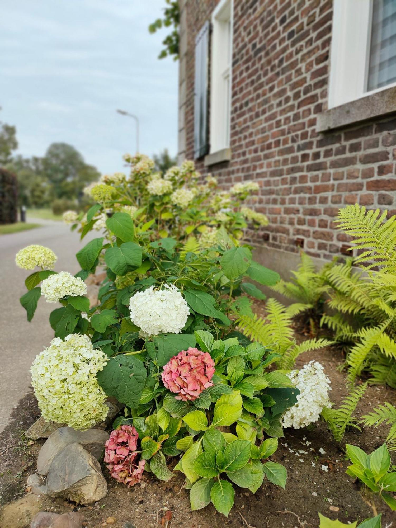 B&B In De Roos Lottum Exteriér fotografie